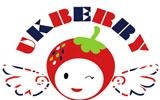 英國巴瑞有限公司