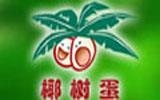椰樹蛋蛋服飾有限公司