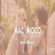 MACMIOCO：趣味冬季︱新添萌宠