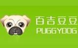 廈門浩雅服飾有限公司